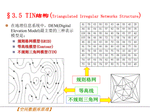 TIN数据结构.ppt