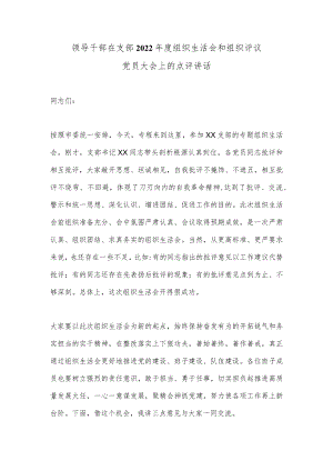 领导干部在支部2022年度组织生活会和组织评议党员大会上的点评讲话.docx