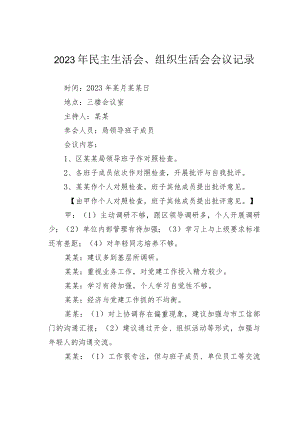 2023年民主生活会、组织生活会会议记录.docx