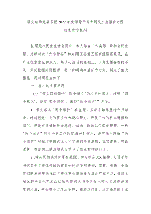 区文旅局党委书记2022年度领导干部专题民主生活会对照检查发言提纲.docx