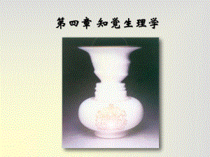 04知觉生理学.ppt