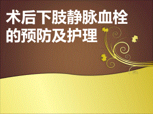 下肢静脉血栓的护理.ppt
