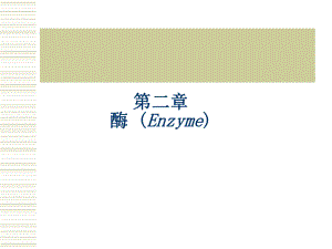 2酶生物化学课件.ppt