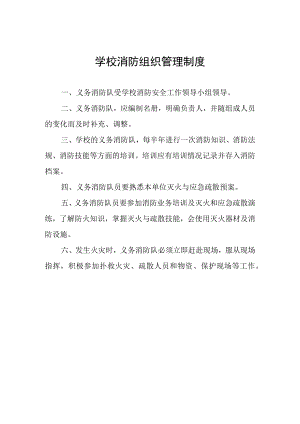 学校消防组织管理制度.docx