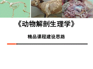《动物解剖生理学》.ppt