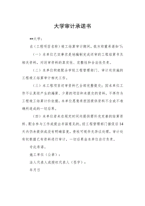 大学审计承诺书.docx