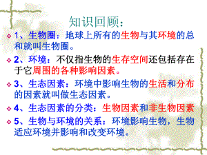 《生物与环境组成生态系统》ppt课件.ppt