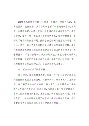 中小学2023年寒假教师网络研修学习心得.docx