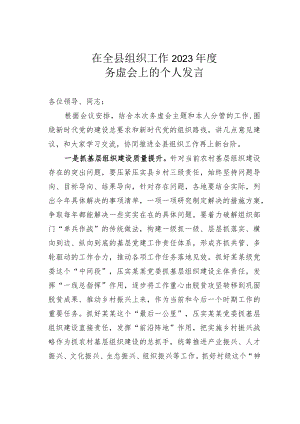 在全县组织工作2023年度务虚会上的个人发言.docx