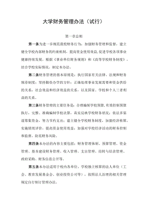 大学财务管理办法（试行）.docx