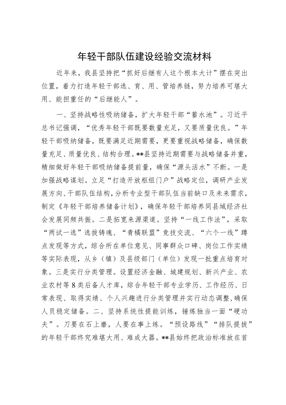 年轻干部队伍建设经验交流材料.docx_第1页