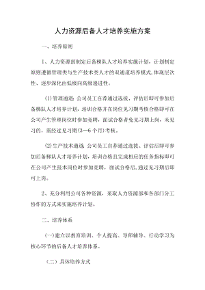 人力资源后备人才培养实施方案.docx