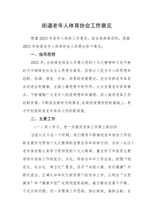 街道老年人体育协会工作意见.docx