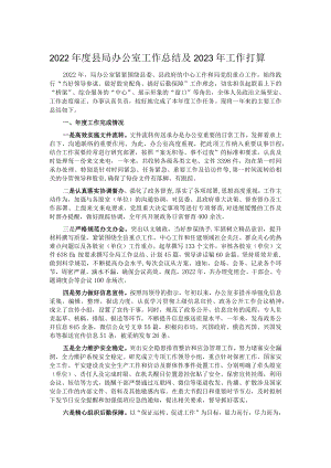 2022年度县局办公室工作总结及2023年工作打算.docx