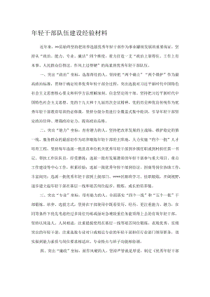 年轻干部队伍建设经验材料.docx
