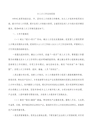 乡人才工作总结经验.docx