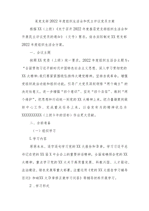某党支部2022年度组织生活会和民主评议党员方案.docx