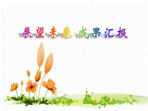 化学培训成果汇报课件.ppt