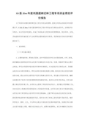 xx县20xx年度巩固退耕还林工程专项资金绩效评价报告.docx