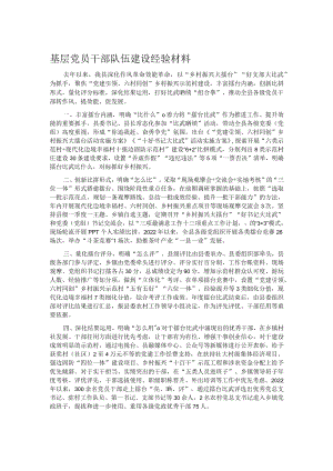 基层党员干部队伍建设经验材料.docx
