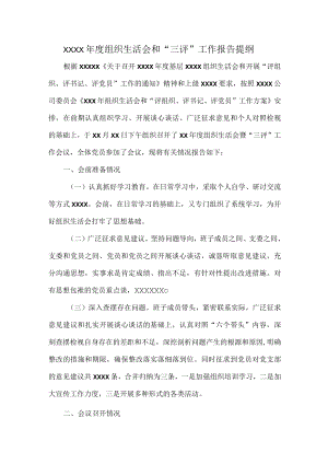 XXXX年度组织生活会和“三评”工作报告提纲.docx