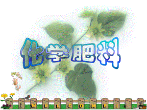 化学肥料(公开课).ppt