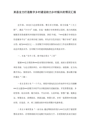 某县全力打造数字乡村建设助力乡村振兴的情况汇报.docx
