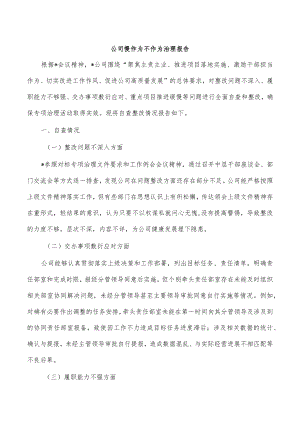 公司慢作为不作为治理报告.docx