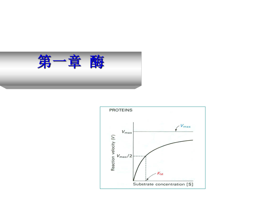 动物生物化学课件.ppt_第1页