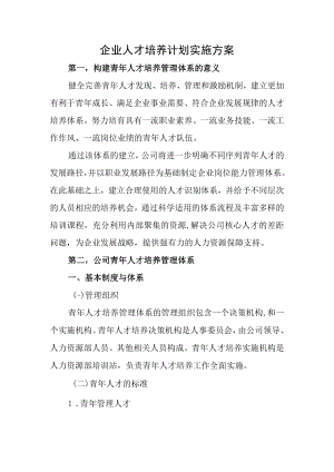 企业人才培养计划实施方案.docx