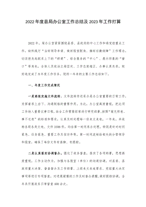 2022年度县局办公室工作总结及2023年工作打算.docx