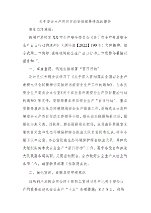 关于安全生产百日行动安排部署情况的报告.docx