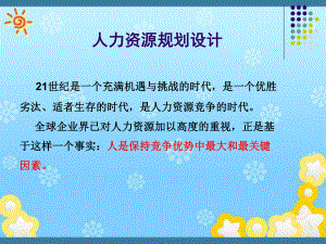 人力资源规划设计.ppt