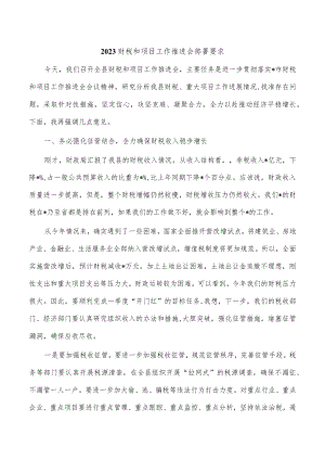 2023财税和项目工作推进会部署要求.docx