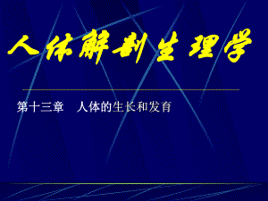 人体解剖生理学.ppt