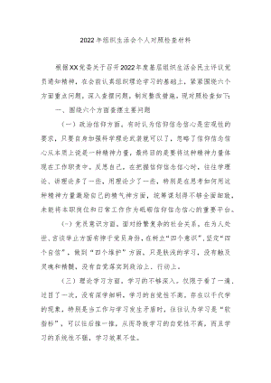 2022年组织生活会个人对照检查材料.docx