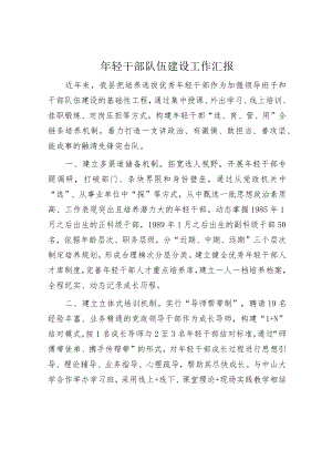 年轻干部队伍建设工作汇报.docx