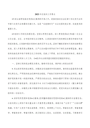 2023年区组织工作要点.docx