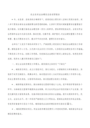 农业农村法治建设总结述职报告.docx