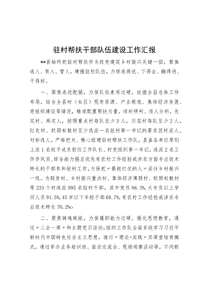 驻村帮扶干部队伍建设工作汇报.docx