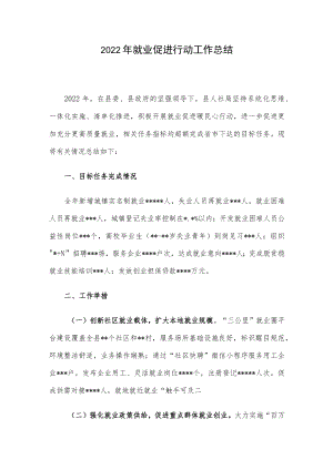 2022年就业促进行动工作总结.docx
