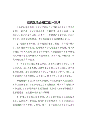 组织生活会相互批评意见.docx