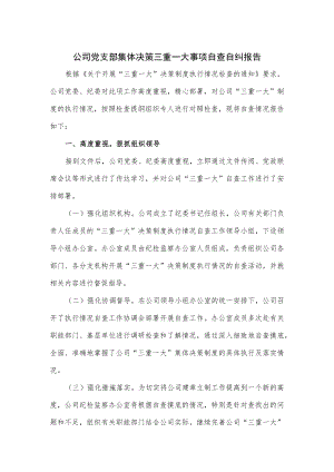 公司党支部集体决策三重一大事项自查自纠报告2篇.docx