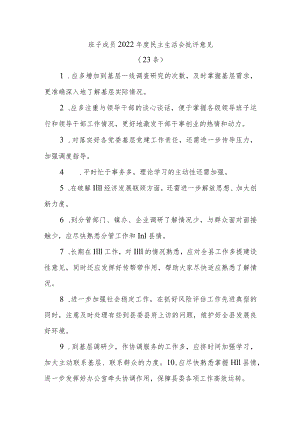 (23条)班子成员2022年度民主生活会批评意见汇集整理.docx