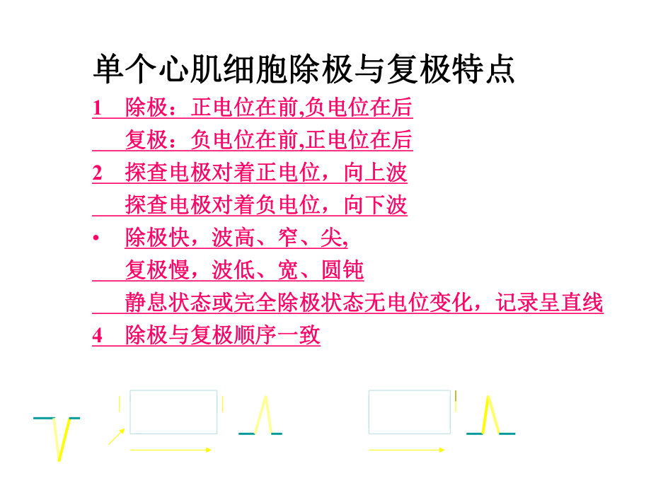 临床心电图分析.ppt_第3页