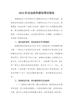 2023年法治政府建设情况报告.docx