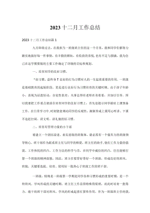 2023十二月工作总结.docx