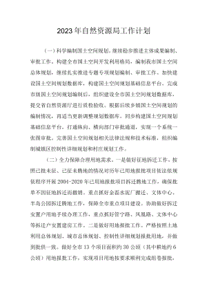 2023年自然资源局工作计划.docx