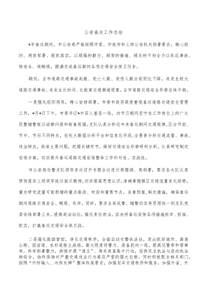 公安春运工作总结.docx