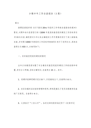 （3篇）乡镇半年工作自查报告.docx